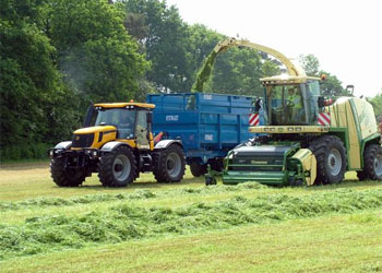 Silage - DBL Buying Group
